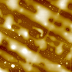 PDMS liquid crystal