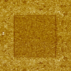 100nm PZT film ; Domain Switching