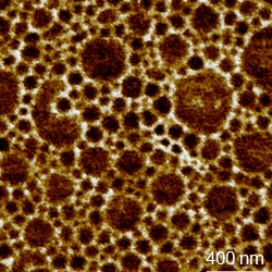 Polydimethylsiloxane (PDMS)