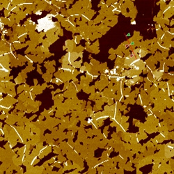 Topological insulator film