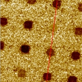 Polymer patterns on Si (2/2)