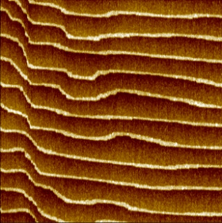 Atomic steps on STO(110)