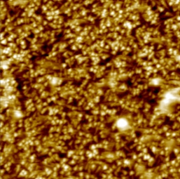 Polycrystalline ferroelectric BCZT