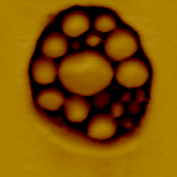 Block Copolymer Embedded in Rubber
