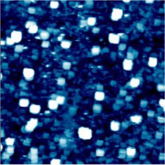 liposome1