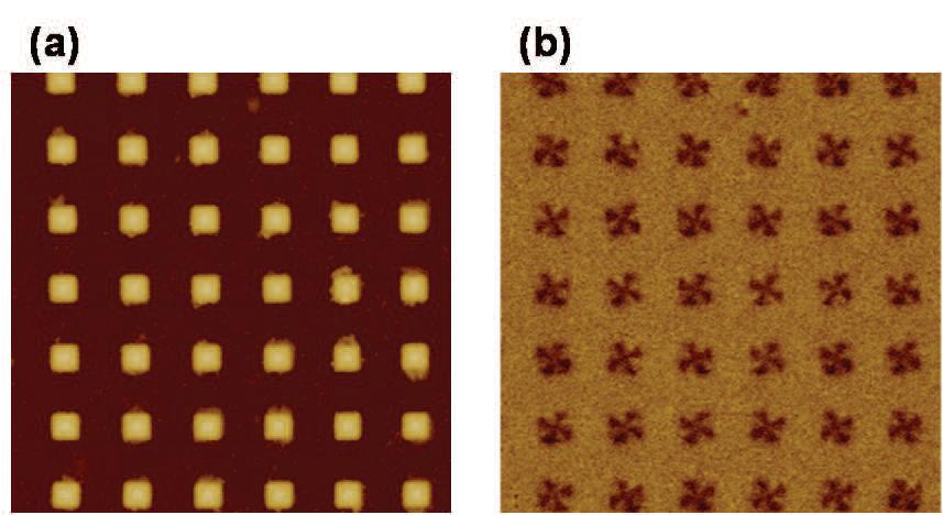01-Patterned-arrays-magnetic-nanostructure-2