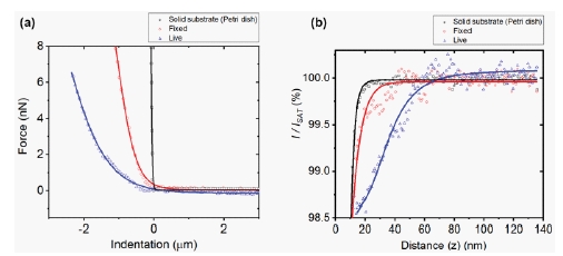 Mechanical properties figure4